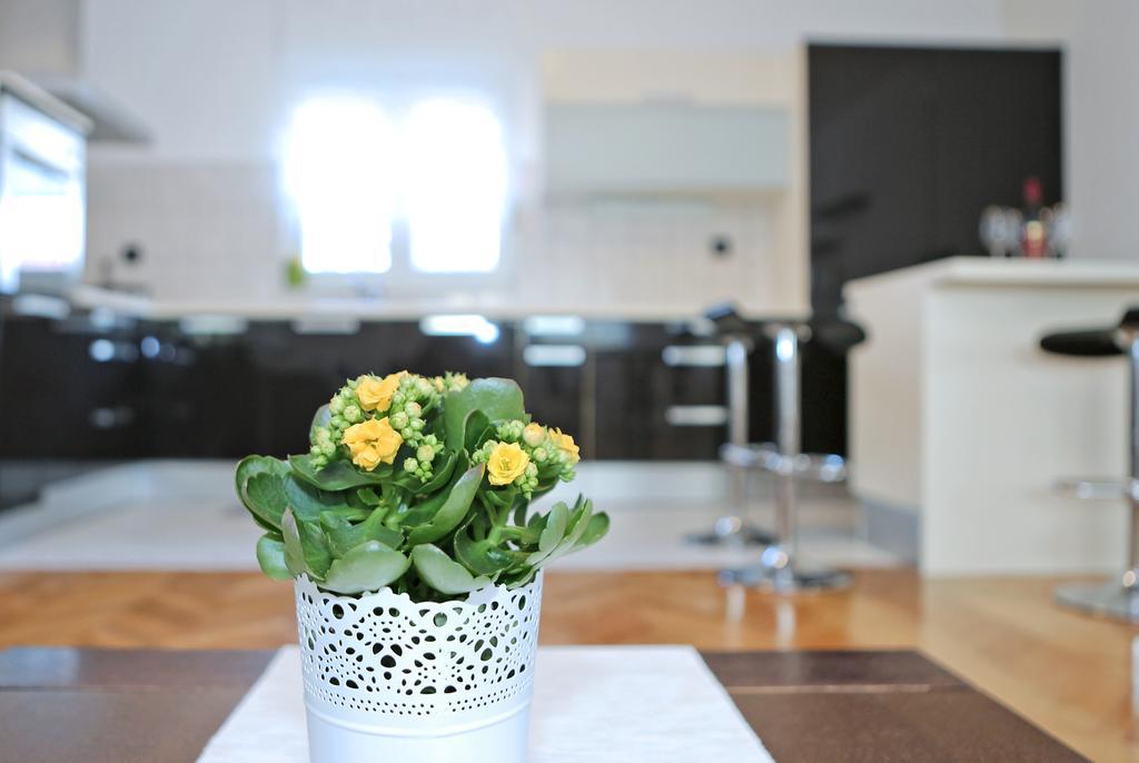 City Gallery Apartment Zadar Exterior photo